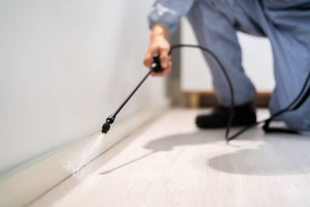 Certified termite inspector examining foundation in Lady Lake